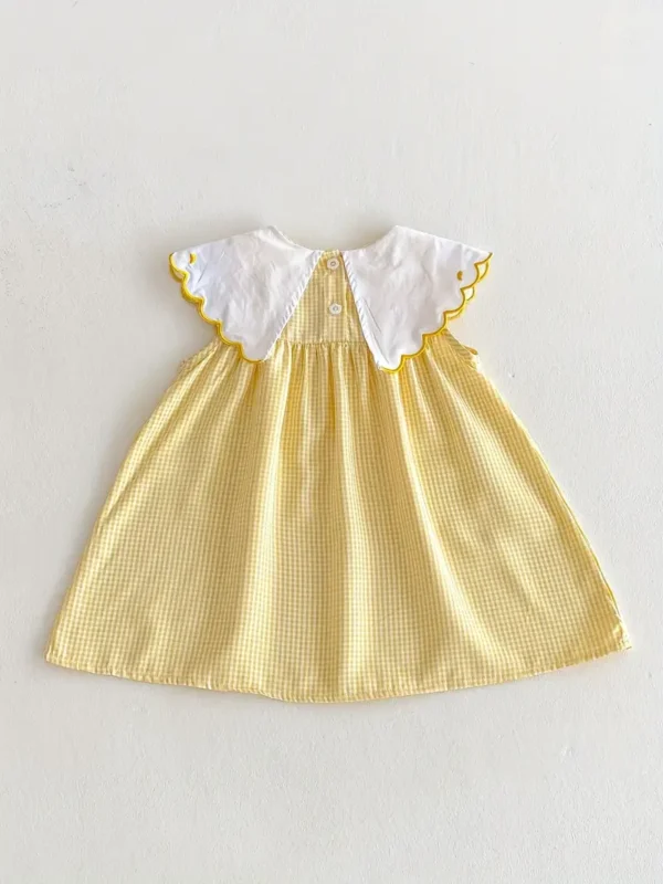 vestido cuadros y cuello bordado