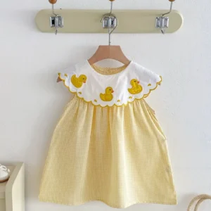vestido cuadros y cuello bordado